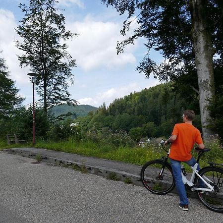 Ferienwohnung Am Wald Bad Herrenalb Zewnętrze zdjęcie