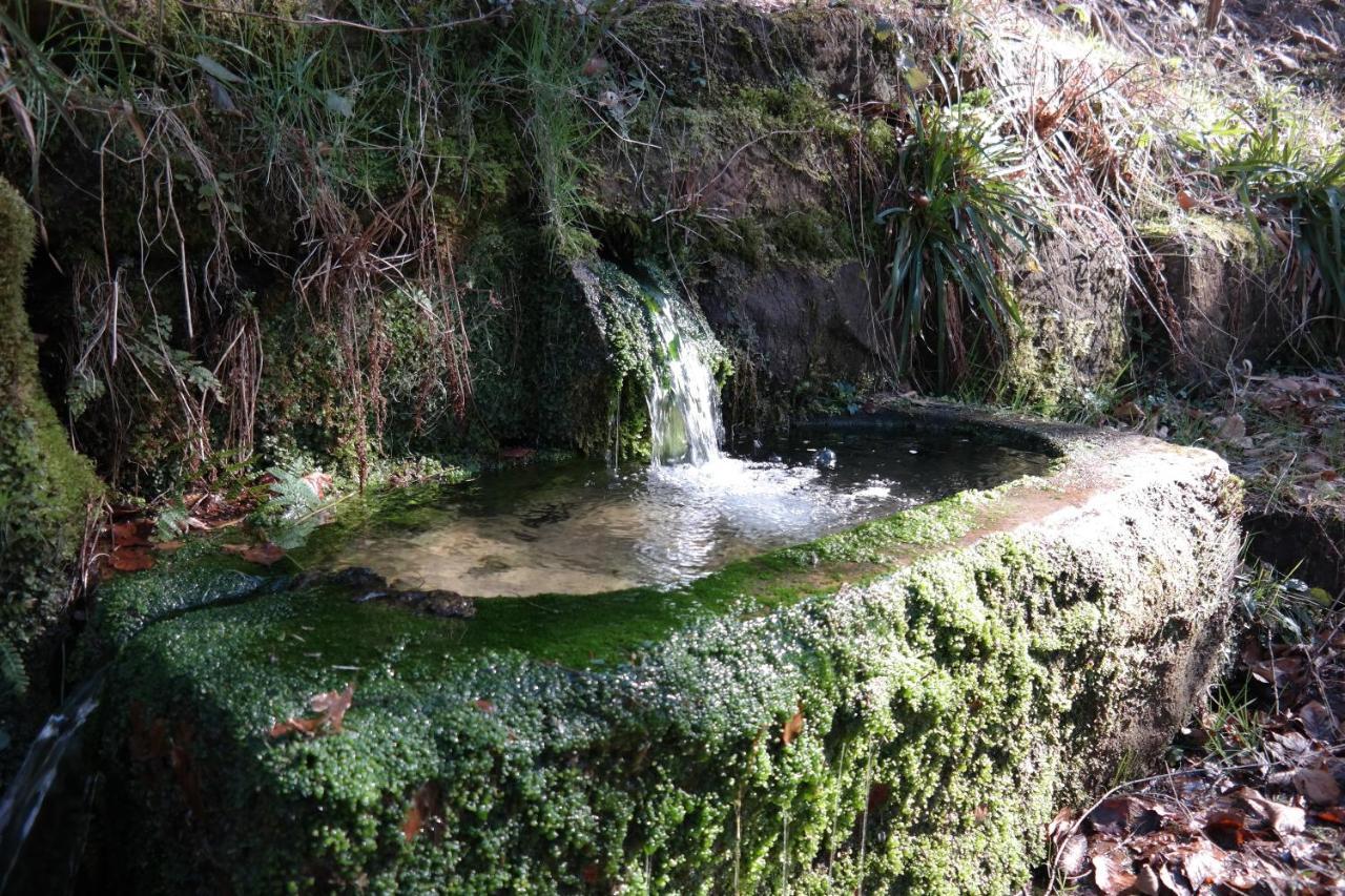 Ferienwohnung Am Wald Bad Herrenalb Zewnętrze zdjęcie