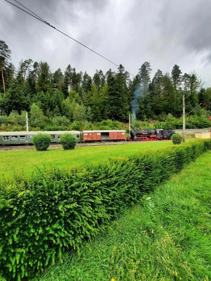 Ferienwohnung Am Wald Bad Herrenalb Zewnętrze zdjęcie